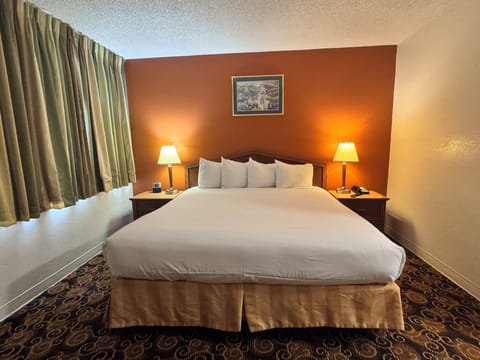 King Bed - Non Smoking | Desk, blackout drapes, iron/ironing board, free WiFi