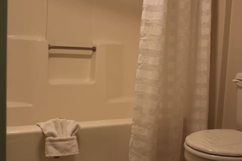 Combined shower/tub, free toiletries, hair dryer, towels