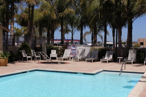 Outdoor pool, sun loungers