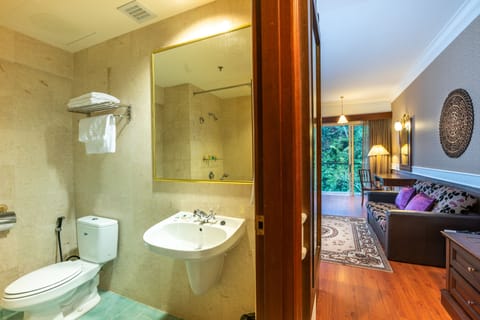 Duplex Suite | Bathroom | Towels