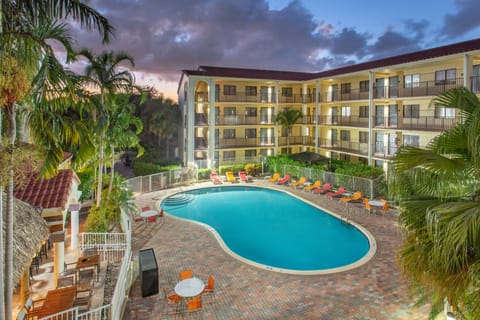 Outdoor pool, sun loungers