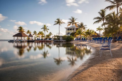 Private beach, white sand, sun loungers, beach umbrellas