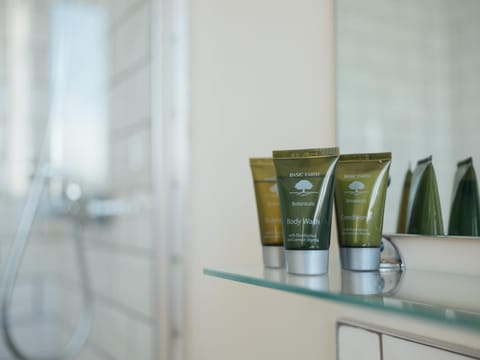 Eco-friendly toiletries, hair dryer, towels, soap