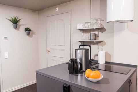 Basic Apartment | Private kitchen | Fridge, microwave, dishwasher, coffee/tea maker