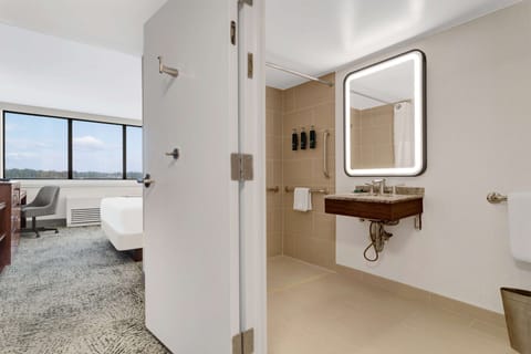 Room, 1 King Bed, Accessible | Bathroom shower