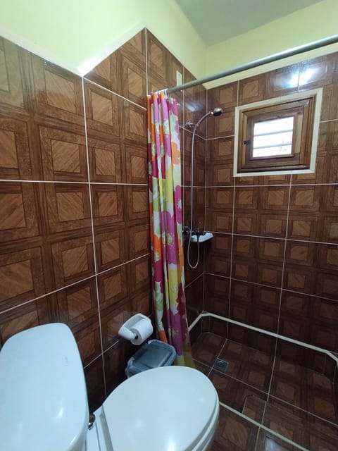 Comfort Triple Room | Bathroom | Shower, rainfall showerhead, hair dryer, towels