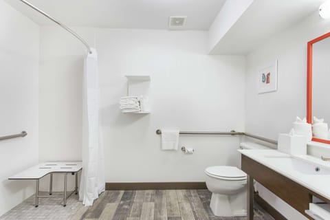 Room, 1 King Bed, Accessible, Non Smoking | Bathroom shower