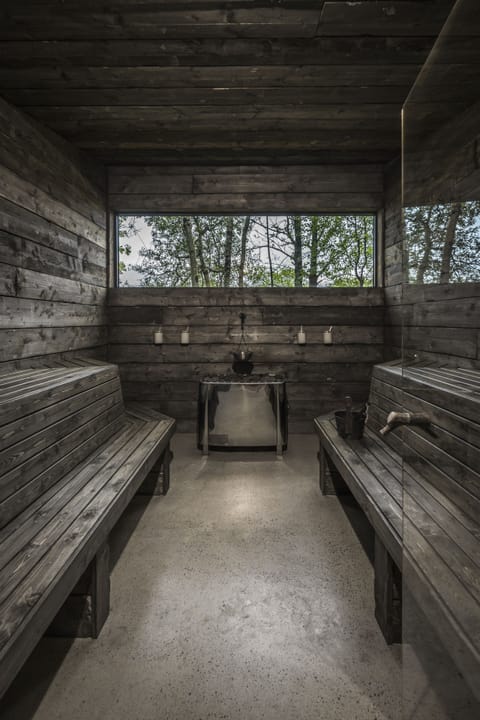 Sauna, spa tub