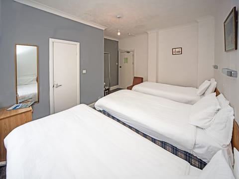 Standard Triple Room, Multiple Beds | Desk, WiFi, bed sheets, wheelchair access