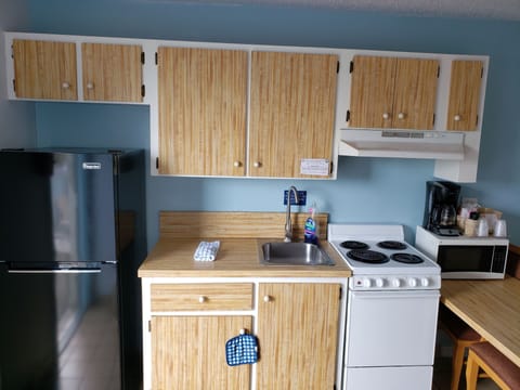 Two Doubles with Kitchenette | Private kitchen | Fridge, microwave, oven, stovetop