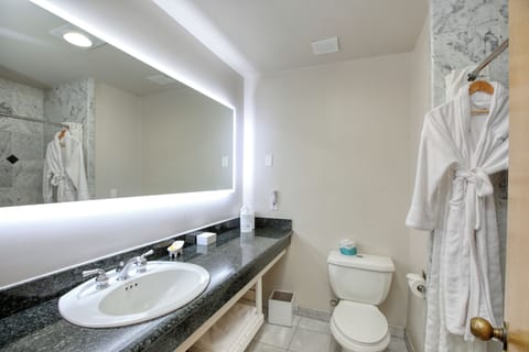 Deluxe City View Room with Hot Tub | Bathroom | Combined shower/tub, free toiletries, hair dryer, bathrobes