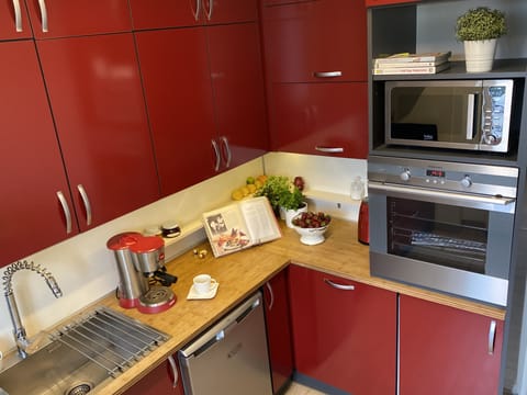 Deluxe Apartment, City View | Private kitchen | Fridge, microwave, oven, stovetop