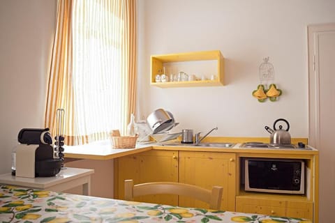 Fridge, stovetop, cookware/dishes/utensils