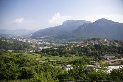 Land view from property