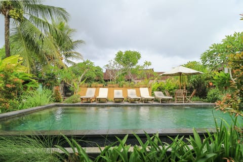 Outdoor pool, sun loungers