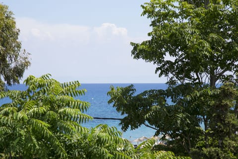 Standard Apartment, Courtyard View | View from room