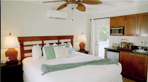 Deluxe Room, Refrigerator & Microwave, Beach View | Individually decorated, individually furnished, iron/ironing board