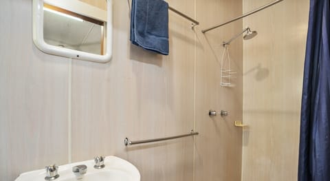 Family Cabin, Multiple Beds | Bathroom | Shower, towels