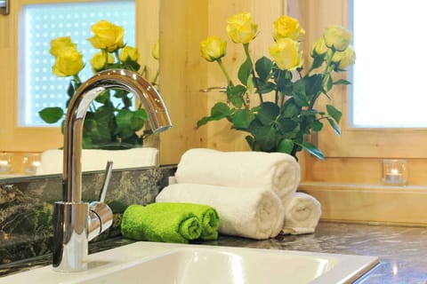 Chalet (Hochries) | Bathroom amenities | Shower, hair dryer, towels