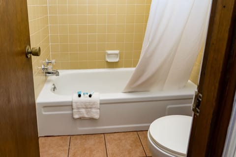 Combined shower/tub, free toiletries, hair dryer, towels