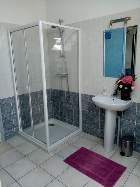 Comfort Double Room | Bathroom | Shower, free toiletries, hair dryer, towels