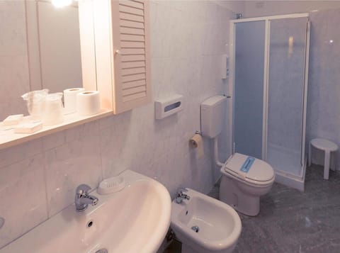 Shower, free toiletries, hair dryer, bidet