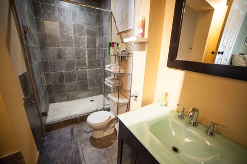 West Suite | Bathroom | Free toiletries, hair dryer, bathrobes, towels