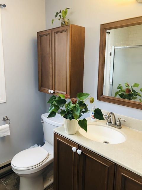 Standard King Single bed, Non smoking, Private bathroom | 1 bedroom, desk, iron/ironing board, free WiFi