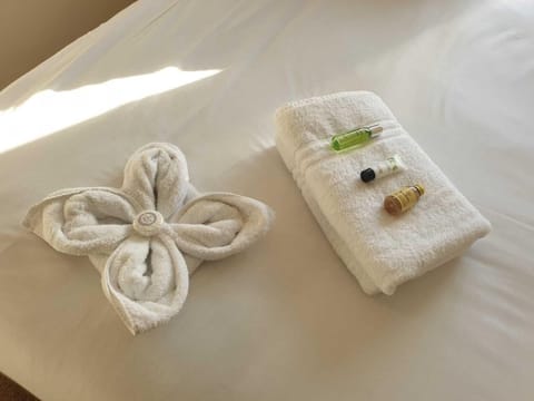 Double or Twin Room | Room amenity