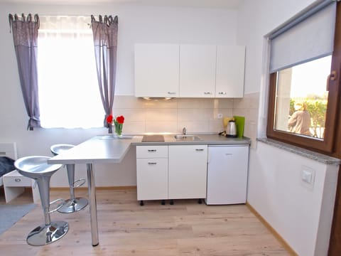 Standard Studio, 1 Bedroom (589/1427) | Private kitchen | Fridge, cookware/dishes/utensils