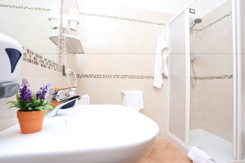 Shower, free toiletries, hair dryer, bidet