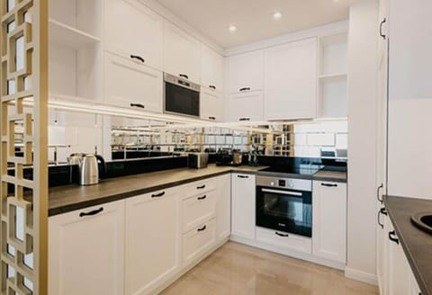 One-bedroom Deluxe Apartment for 4 people | Private kitchen | Full-size fridge, microwave, oven, stovetop