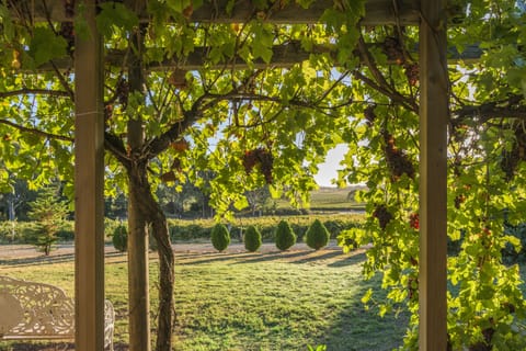 Barn Cottage  | View from room