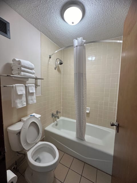 Combined shower/tub, free toiletries, hair dryer, towels