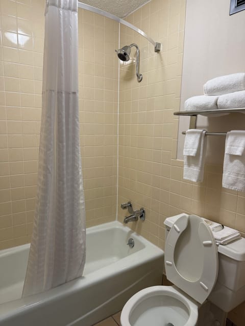 One king bed non smoking | Bathroom | Combined shower/tub, free toiletries, hair dryer, towels