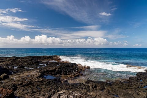 Condo, 1 Queen Bed with Sofa bed (Alii Villas 340) | Beach | On the beach