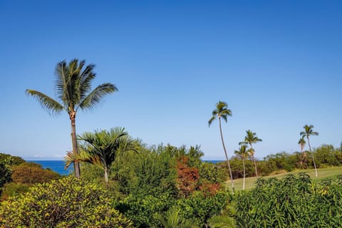 Condo, Multiple Beds (Keauhou Akahi 210) | Property grounds