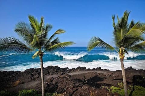 Condo, 1 Queen Bed (Keauhou Kona Surf & Racquet Club 3202) | Beach | On the beach