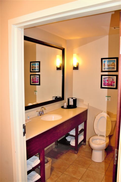 Combined shower/tub, deep soaking tub, free toiletries, hair dryer