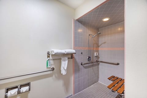 Standard Room, 1 King Bed, Accessible, Non Smoking | Accessible bathroom