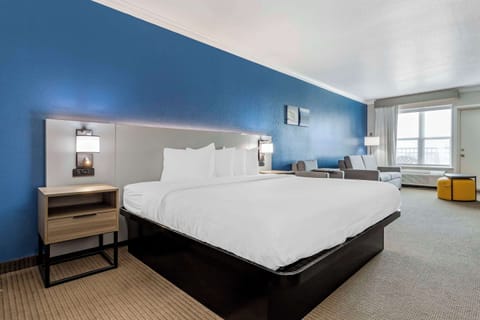 Executive Suite, 1 King Bed, Non Smoking (/W Sofa Bed) | Premium bedding, down comforters, pillowtop beds, in-room safe