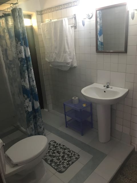 Double or Twin Room | Bathroom | Shower, towels, soap, shampoo