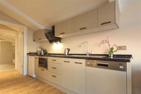 Penthouse, Sea View | Private kitchenette | Fridge, electric kettle