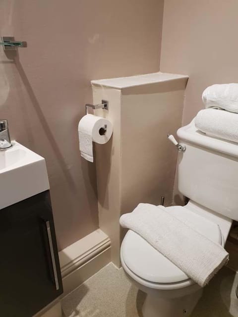 Combined shower/tub, free toiletries, hair dryer, towels