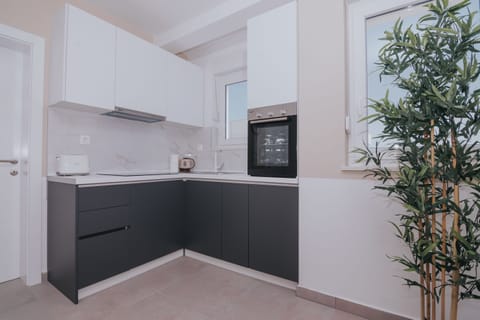 Luxury Apartment, 2 Bedrooms, Terrace (A5) | Private kitchen | Full-size fridge, microwave, oven, stovetop