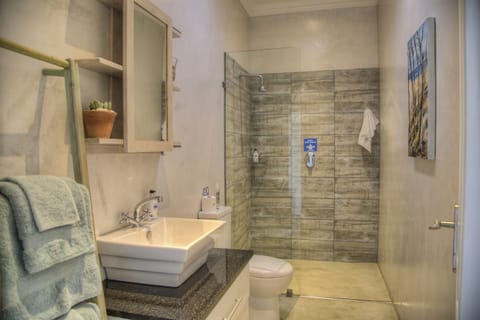 Luxury Suite 5 | Bathroom | Shower, free toiletries, hair dryer, towels