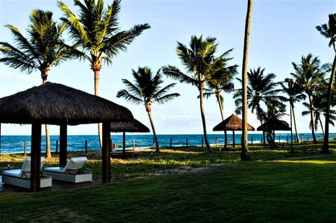 Beach/ocean view