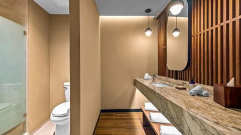 Bathtub, hair dryer, towels