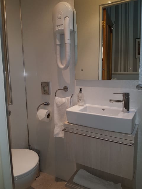 Double Room | Bathroom | Shower, rainfall showerhead, free toiletries, hair dryer