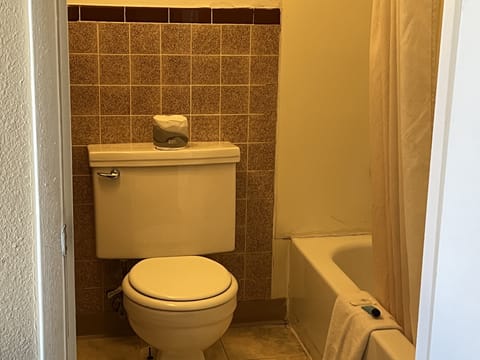 Family Room, Non Smoking | Bathroom | Free toiletries, hair dryer, towels